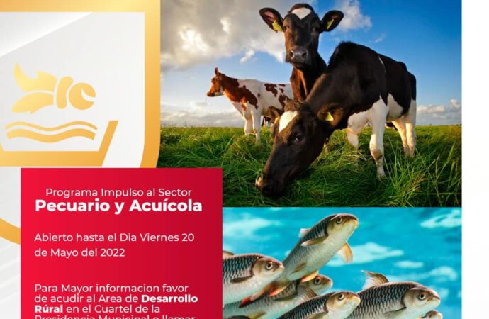 Atención Quecholac únete programas impulsados por la Secretaria de Desarrollo Rural.