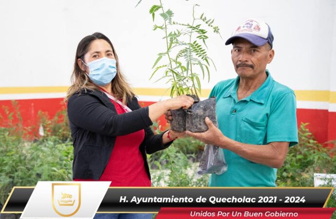 Entregan 1500 Arboles en Quecholac