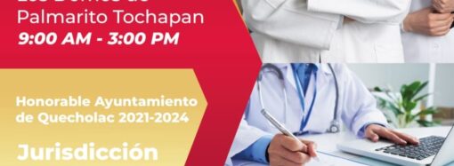 Organizan en Quecholac Jornadas de Esterilización canina y felina