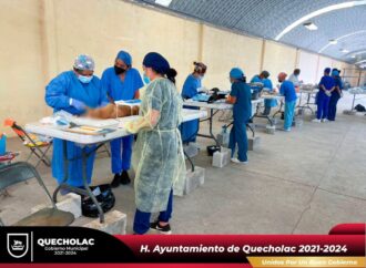 Realizan mas de 300 Esterilizaciones a Mascotas en Quecholac