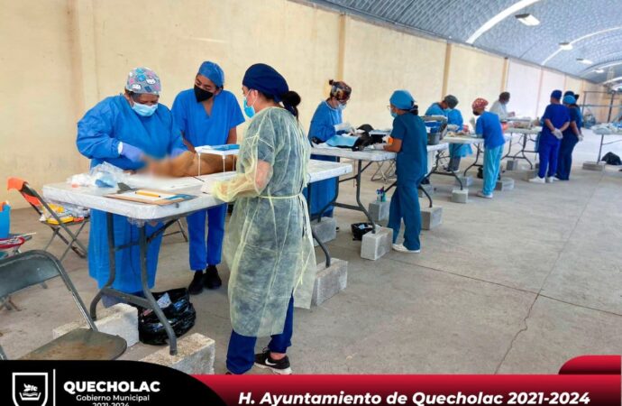 Realizan mas de 300 Esterilizaciones a Mascotas en Quecholac