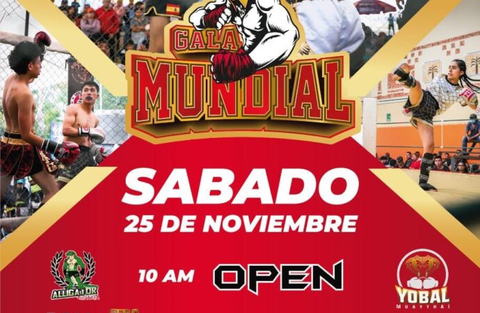 Organizan Mundial de Artes Marciales Mixtas en Quecholac