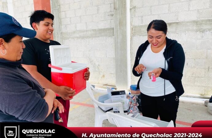 Vacunan a cientos de perros y gatos en Jornada de Salud en Quecholac.