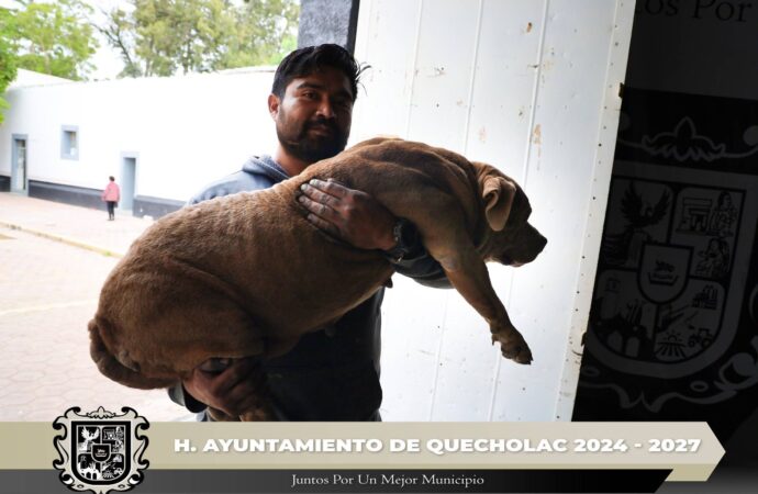 Organizan Jornada de Vacunación Antirrábica