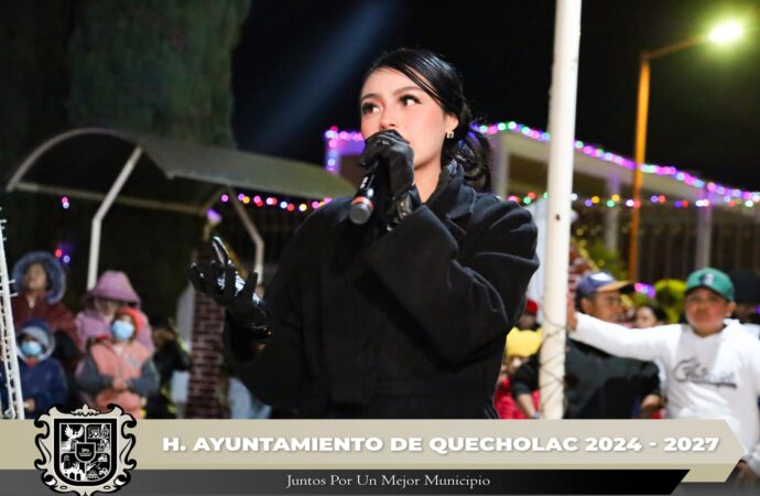 Realizan encendido del Árbol navideño en Froylan C. Manjarrez