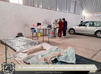 Realizan Jornada de Esterilización en la comunidad de Guadalupe Enríquez