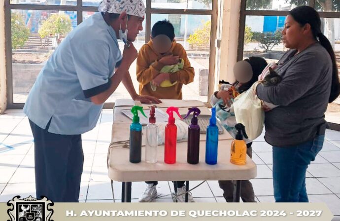 Realizan Jornada de Esterilización en la compañía de Jesús