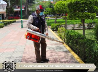 Realizan inspección sanitaria y fumigación preventiva en el parque municipal de Quecholac.
