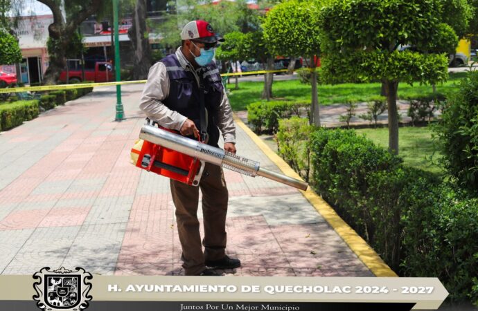 Realizan inspección sanitaria y fumigación preventiva en el parque municipal de Quecholac.